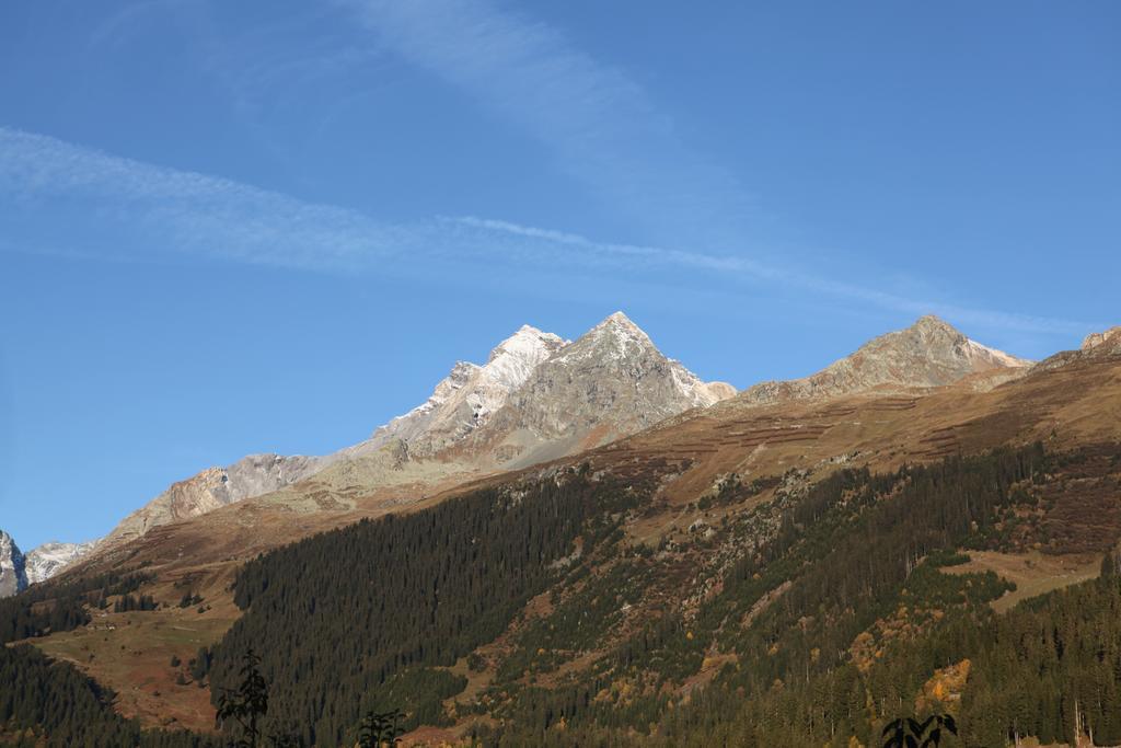 Alpina